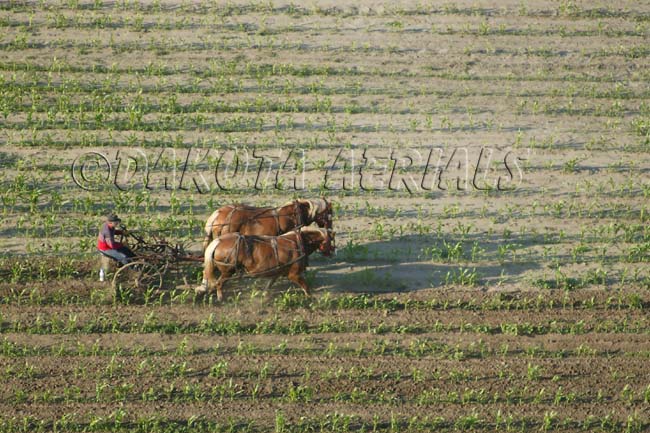 Good 'Ol Days First Light